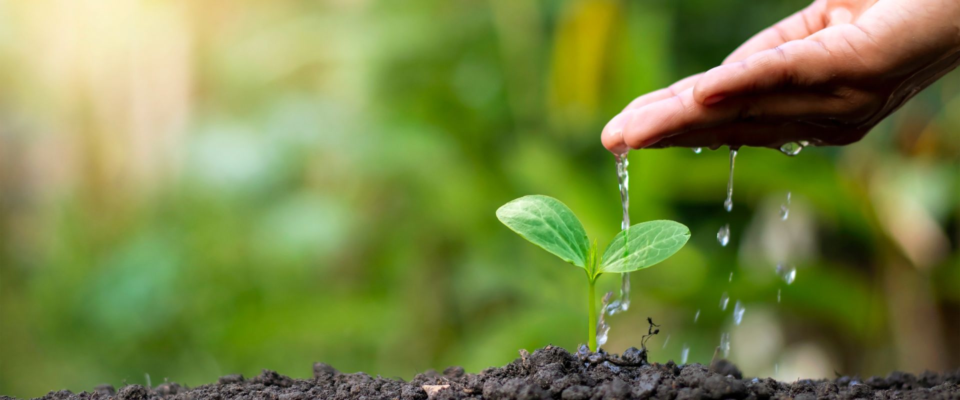 Environmental Policy